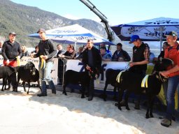 2019_ausstellung polling_321